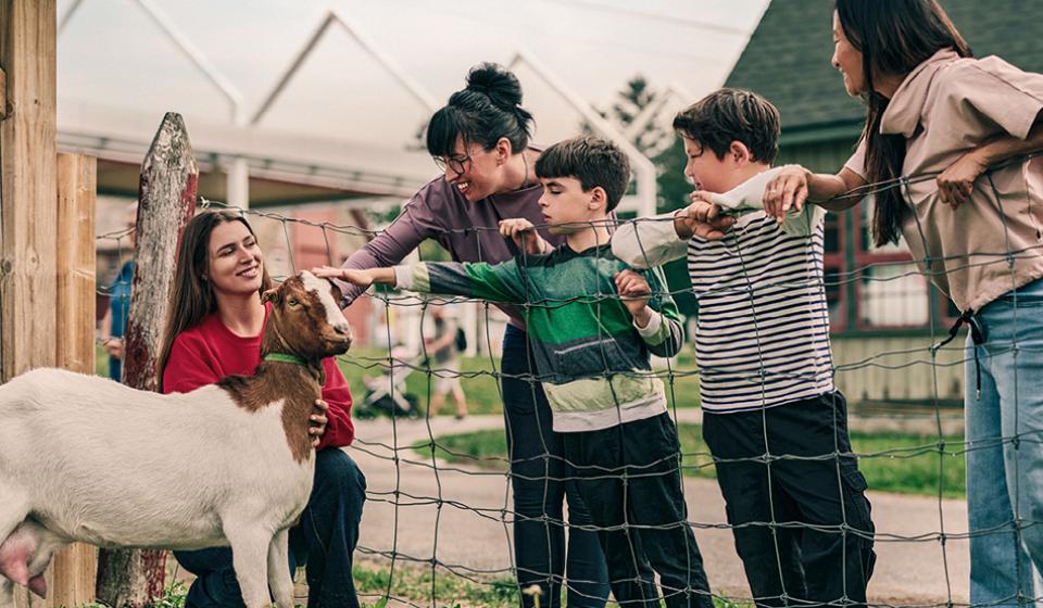 A group of people watching a goat and an open-air museum guide at the museum