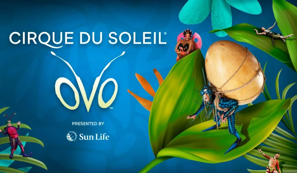 Cirque du Soleil: OVO