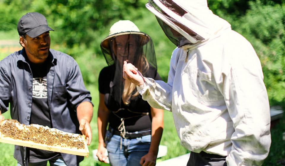 Gees Bees Honey Company