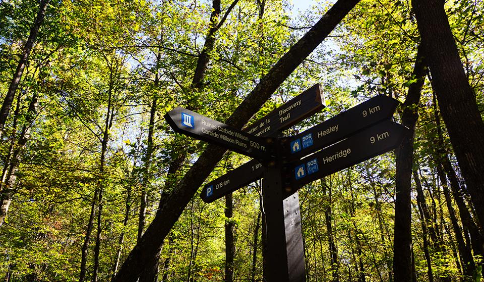 Gatineau Park