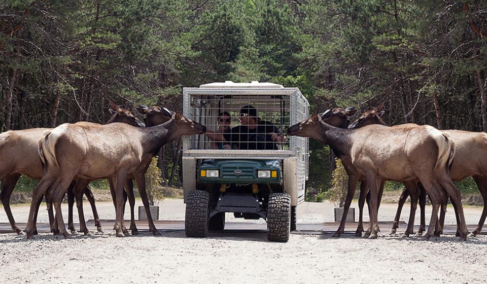 Omega Park