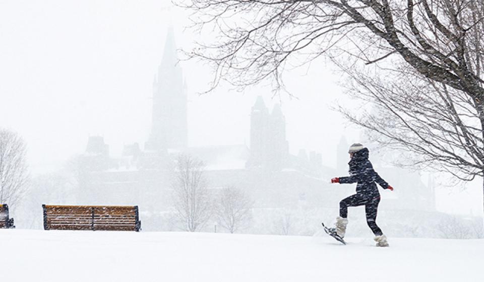 Snowshoeing, Major's Hill Park, Winter
