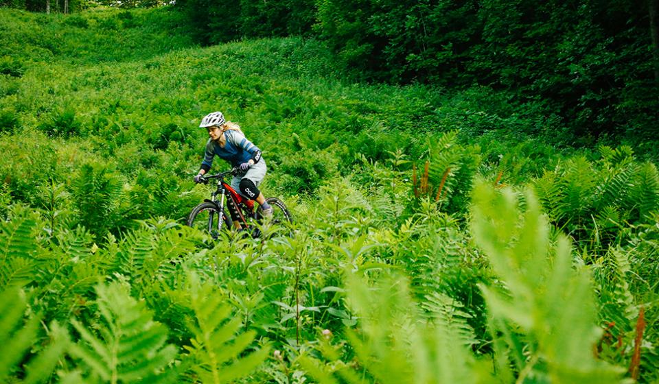 Camp Fortune Mountain bike trail