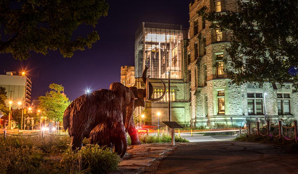 Canadian Museum of Nature