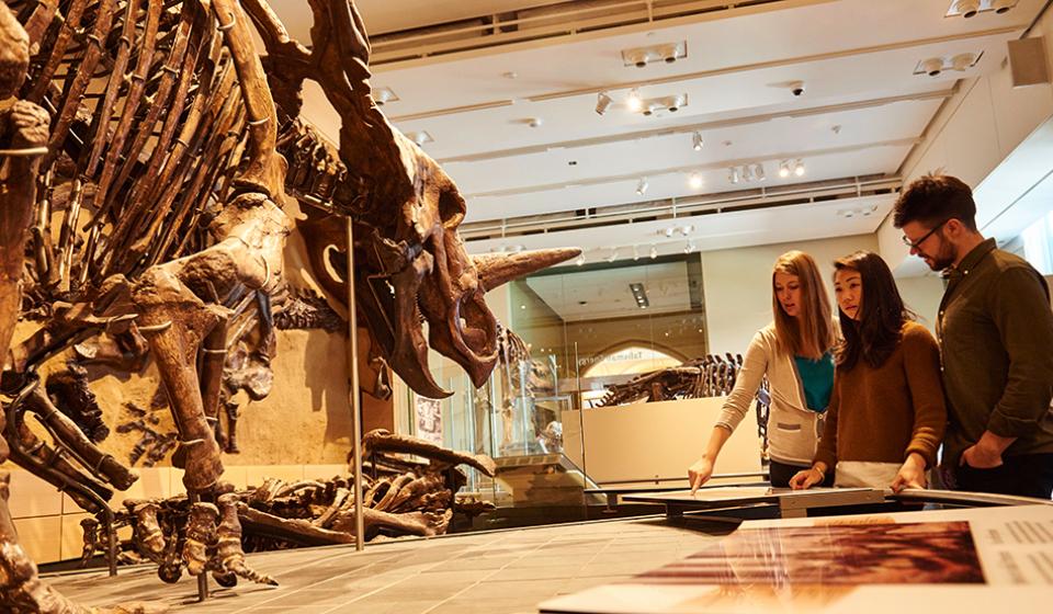 Canadian Museum of Nature