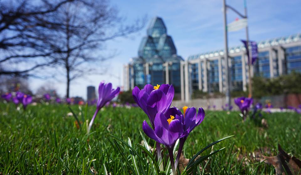 National Gallery of Canada, Spring