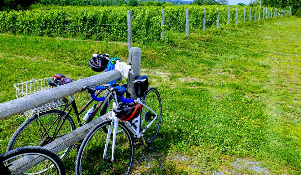 À la Carte Shuttle and Tours