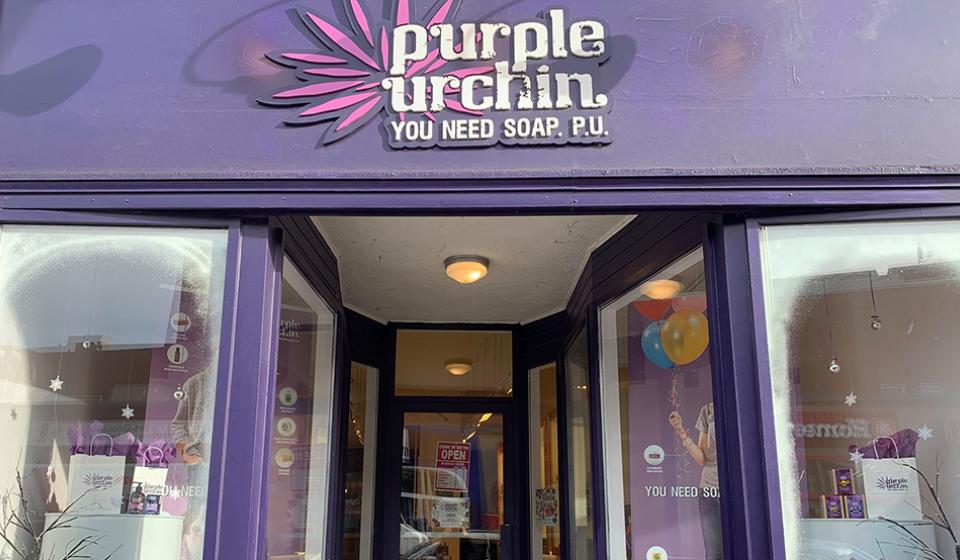 Purple Urchin