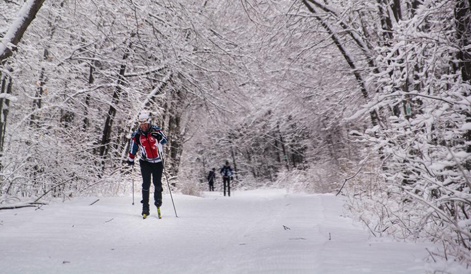 Gatineau Park, Winter, Cross-country skiing