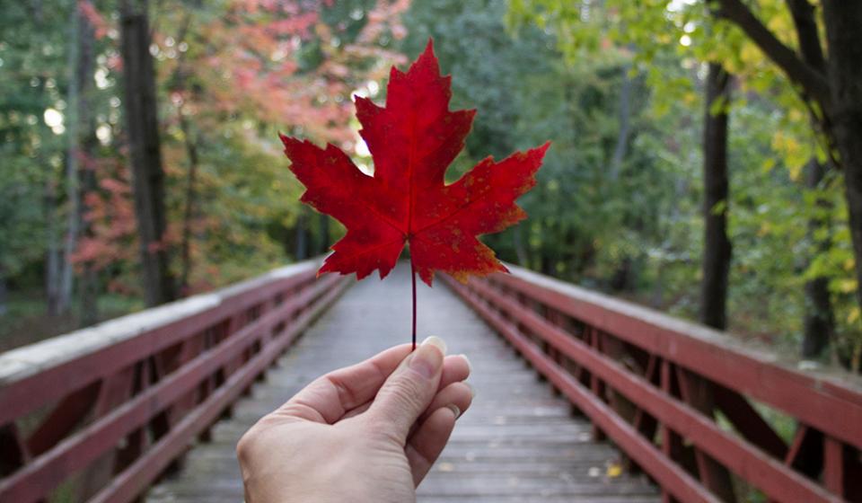 fall