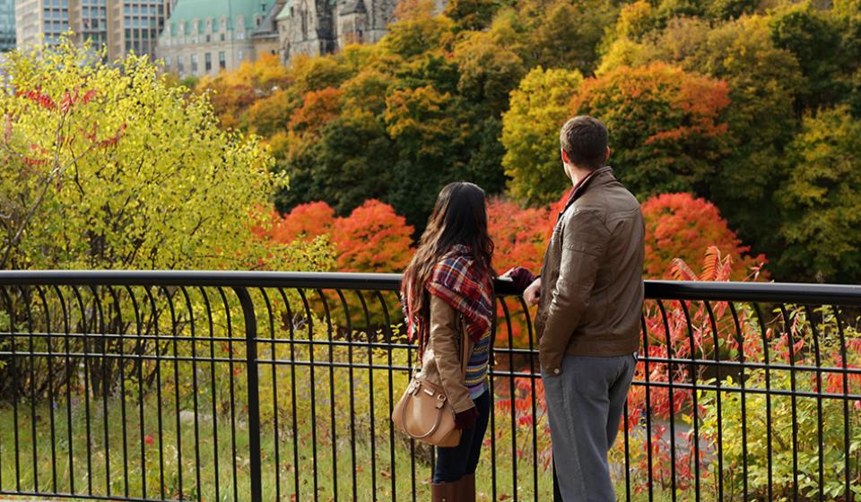 Fall in Ottawa