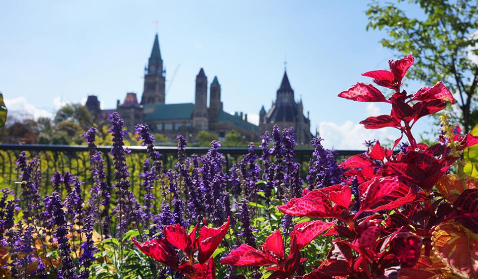 Major's Hill Park, view of Parliament