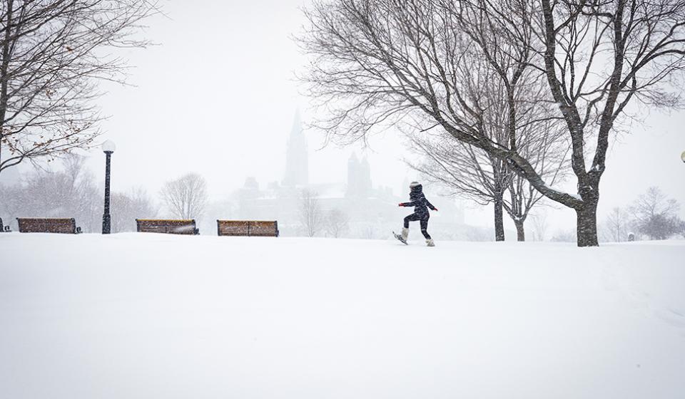 Snowshoeing, Major's Hill Park, Winter