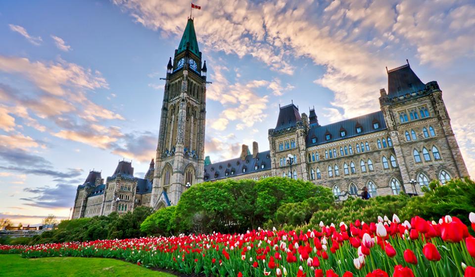 Tulip Festival - Parliament Hill