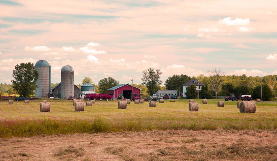 Southern Farm and Pinhey Forest Sector, Greenbelt Farms/Le secteur agricole du sud et la forêt Pinhey, Fermes de la Ceinture de verdure