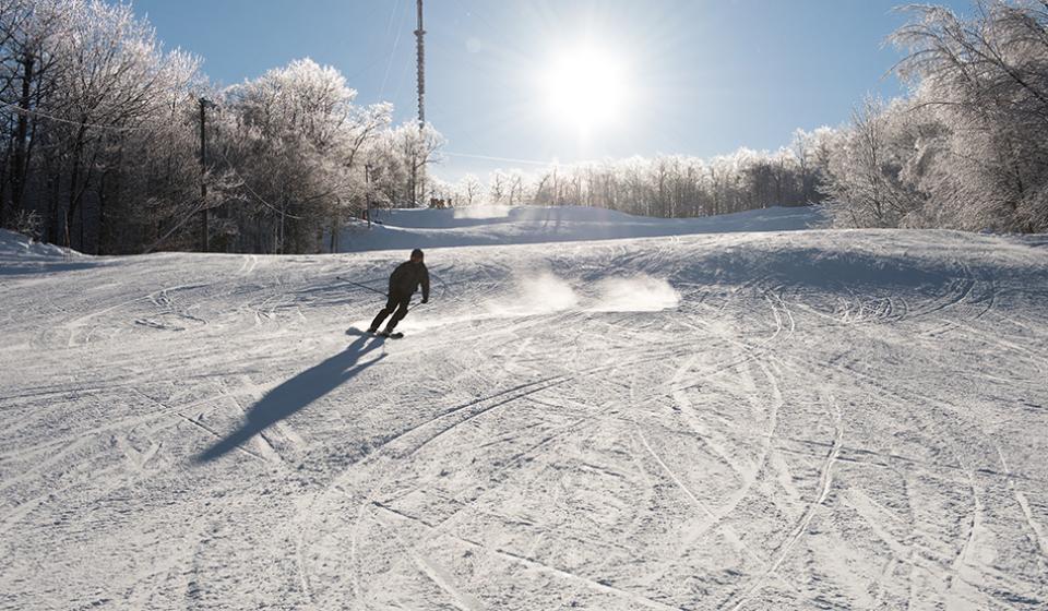 Camp Fortune Ski, Aerial Park and Ziplines