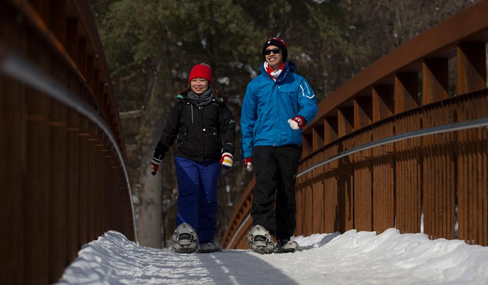 Gatineau Park, winter, Snowshoeing