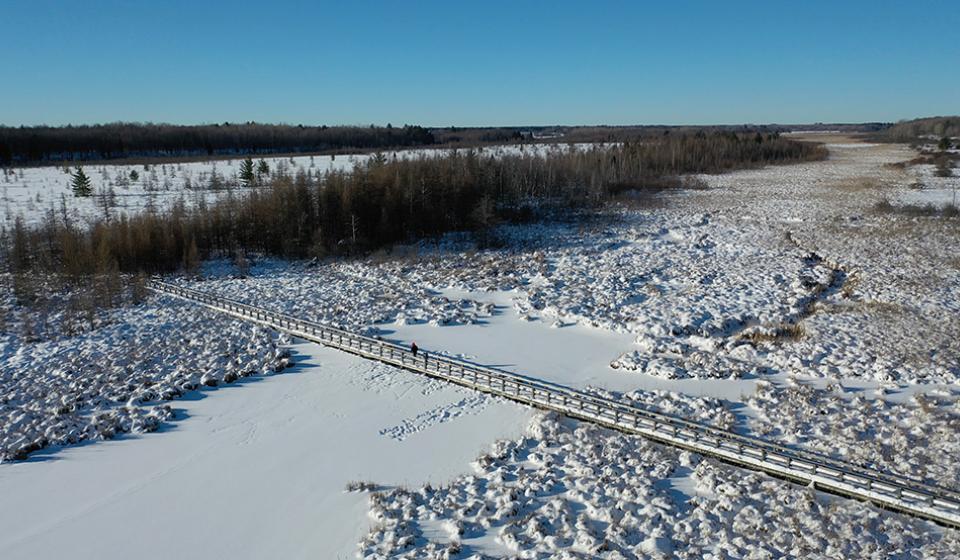 Mer Bleue Bog