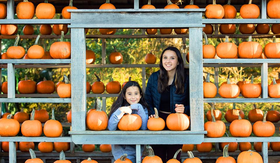 pumpkin, family, fall