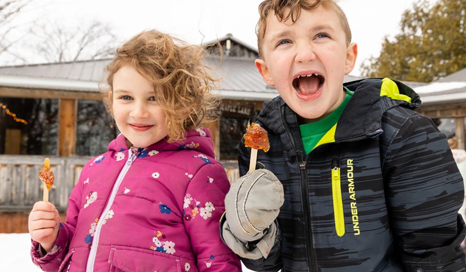 Stanleys Olde Maple Lane Farm Sugarbush, maple