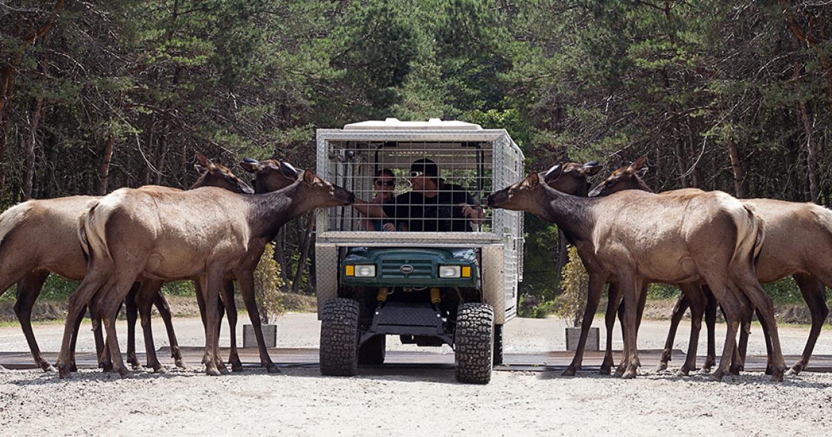 Parc Omega Ottawa Tourism