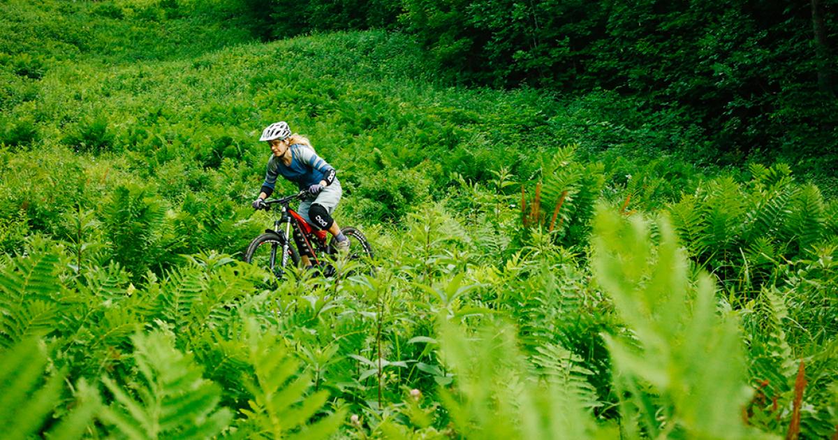 camp fortune bike park