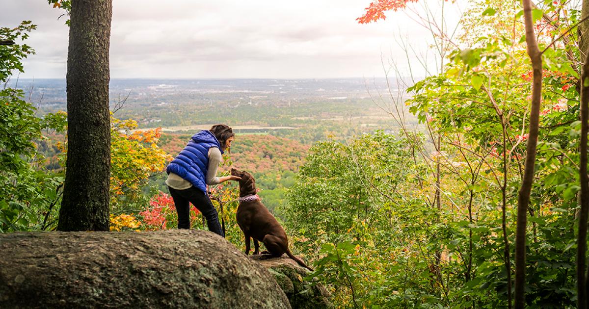 Dog-friendly places and activities in Ottawa | Ottawa Tourism