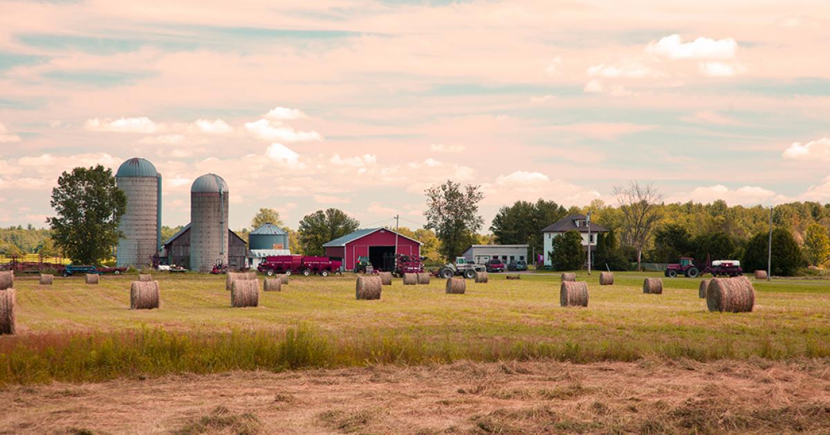 Year-round outdoor activities in Ottawa's Greenbelt | Ottawa Tourism