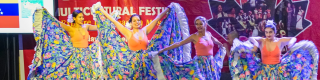 World Multicultural Festival
