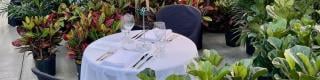 Exclusive Romantic Dinner for 2 in Tropical Greenhouses