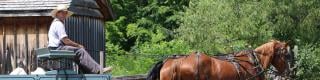 Horse Lovers’ Weekend