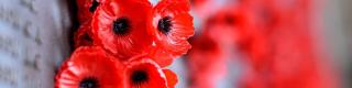 Beechwood Cemetery's Remembrance Day Ceremony