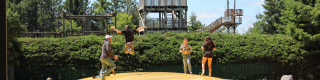Summer Maze Days at Saunders Farm