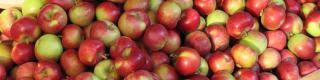 ByWard Market Apples
