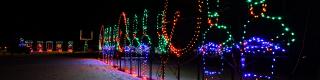 Magic of Lights 