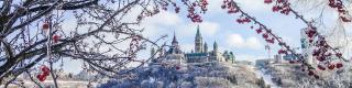 Winter, parliament