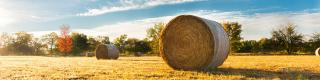 fall farm