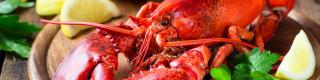 lobster 