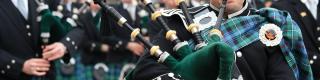 pipers