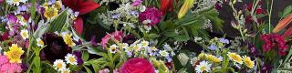 The Ottawa Flower Market