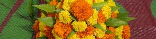 Bathukamma Festival