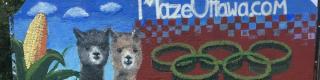 Maple Hill Urban Farm Corn maze