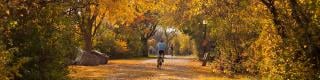 Rideau Canal Pathway, Cycling, Fall