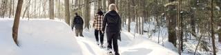 Snowshoeing in Gatineau Park