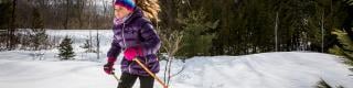 Snowshoeing in Gatineau Park