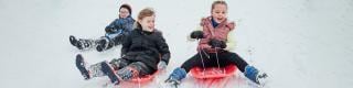 toboggan