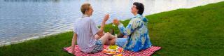 Dows Lake, Picnic