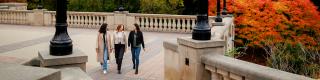 Fall, Girls gateway