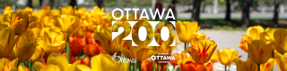 Ottawa 200 - Tulips