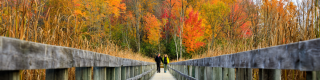 A couple walks on a boardwalk in front of a autumnal forest. 